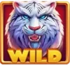 Luck of Tiger: Bonus Combo Pokie Game Wild